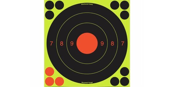 Zielscheiben, Birchwood, SHOOT•N•C® 20 CM, 6er Pack