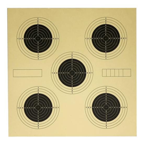 Luftgewehrscheiben, Fritzmann, 100 Stk, 14 x 14 cm, 5 x UIT