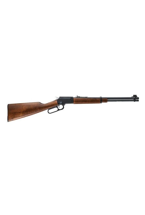 Lever-Action, Chiappa Lever Action 322, Take Down Rifle, 18,5